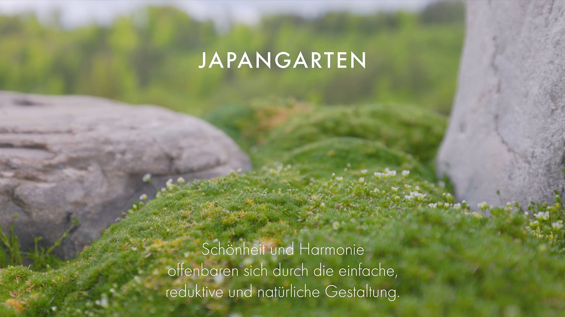 Japangarten - Nigggärten